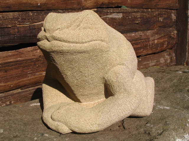 Frosch,Kussmund (1).JPG